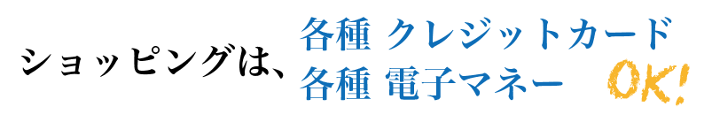 新品家電、カー用品、高価買取。ショッピングは各種クレジットカードOK！